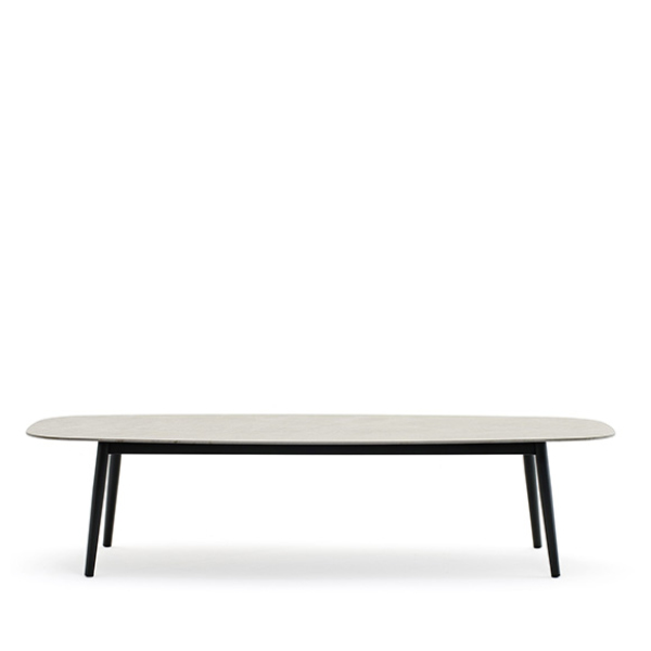 Vista laterale tavolo Ellisse in giardino